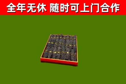 沙河口回收海参